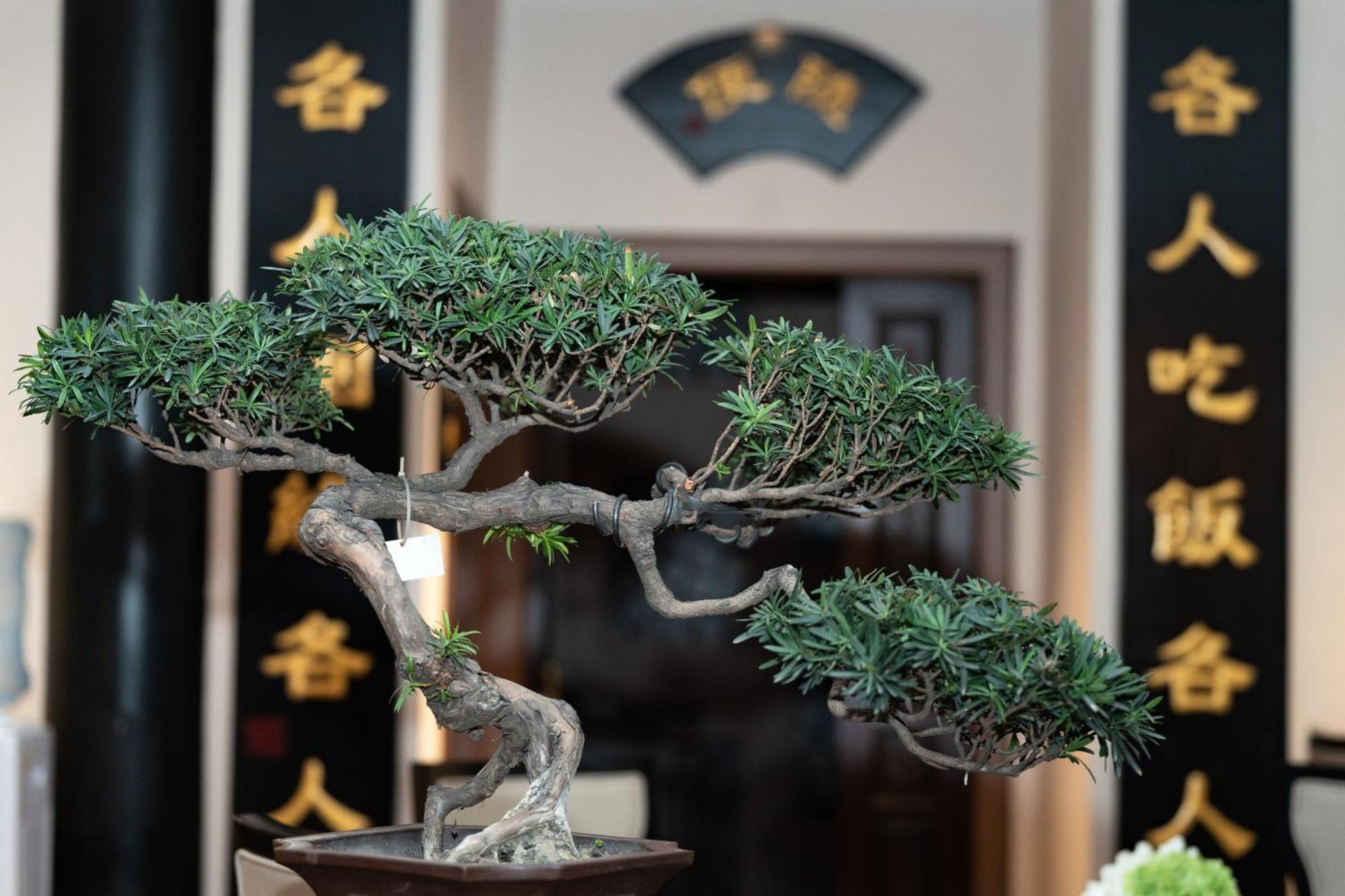 Buddha Zen Hotel Csengtu Kültér fotó